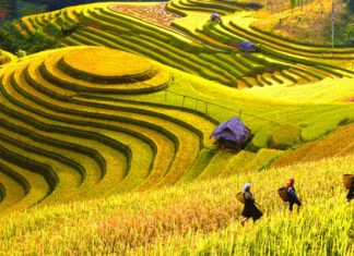 Du lịch mùa thu trong nước với những địa điểm tuyệt đẹp dành cho du khách Du lịch mùa thu trong nước với những địa điểm tuyệt đẹp dành cho du khách